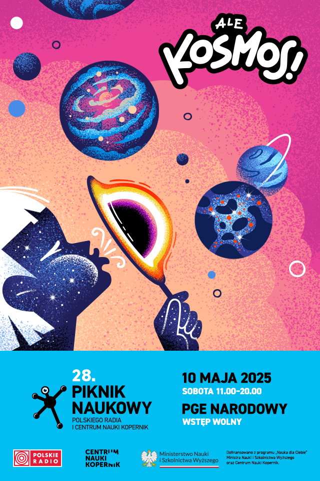 CNK Piknik 2025 22 statyki do SM 640x960 2 banki