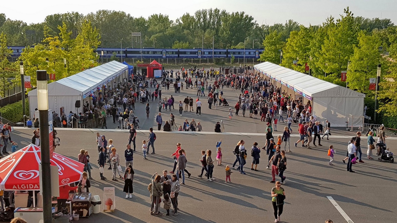 Piknik Naukowy 2019 7